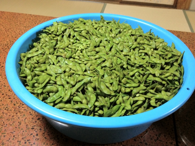 20121007-114148-iPhone_001.JPG