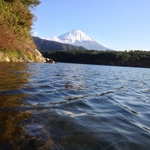 IMG_0962.JPG