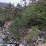 IMG_1414.JPG