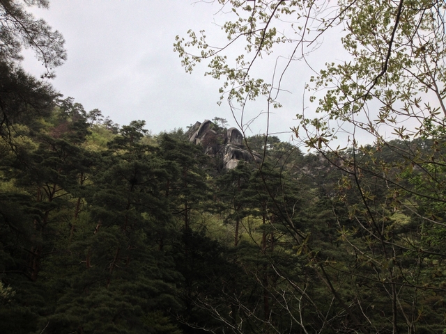 IMG_1419.JPG