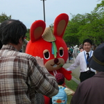 P1000011.JPG