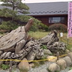 フルーツ公園