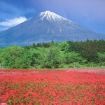 IMG_0152