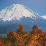 IMG_0153