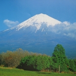 IMG_0155