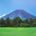 IMG_0156
