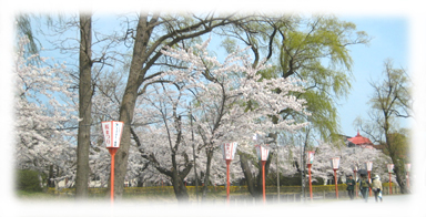 鶴岡公園