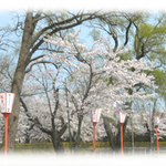 鶴岡公園