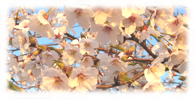 鶴岡京田役場公園