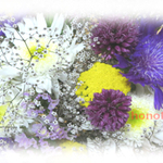 フラワーアレンジ