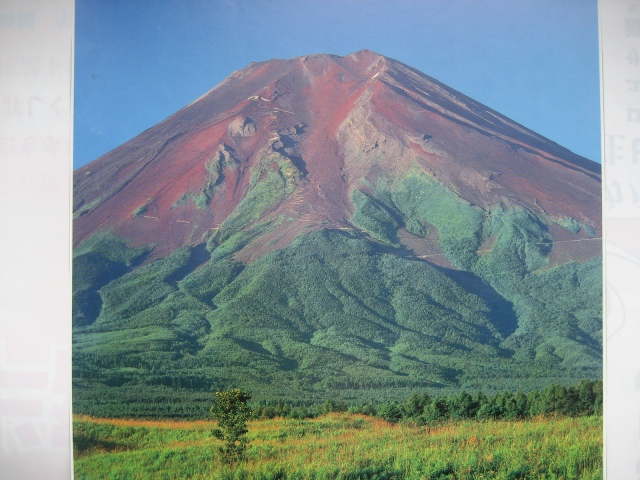 IMG_0192