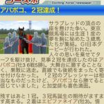 ウイニングポコ