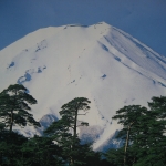 アスパラ
