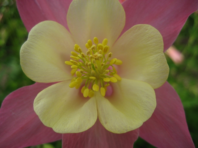 IMG_0434