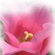 *�������ѥ롼��*