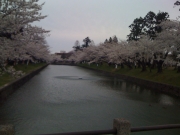 �ǲ�ˤ���ϰ��������õ�륷��ݥ�����*