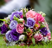 *�뺧�������*